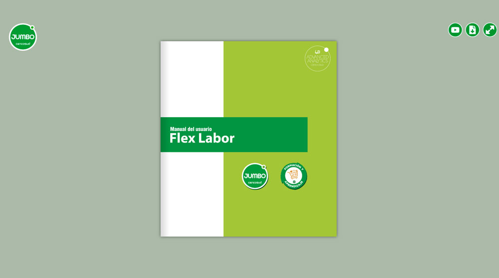 Flipbook